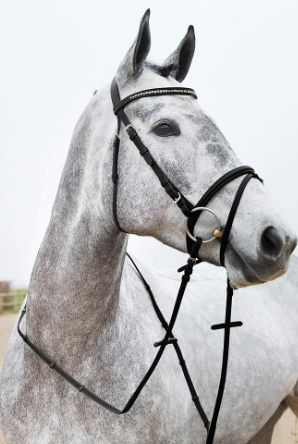 10017-099-00 Horze Weston Leather Bridle Black