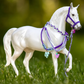 TBC10451 Breyer Freedom 4-Ever Friends Gift Set Purple Perfection