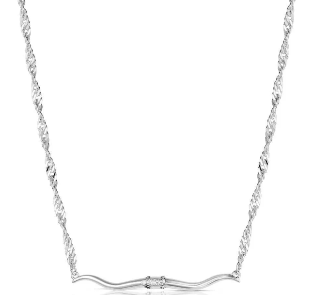 NC6531 Western Silhouette Longhorn Bar Necklace