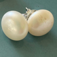 LARGEST Freshwater Pearl Stud Earrings Size Large