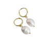 FPE017 Freshwater Pearl Dangle Earring Gold