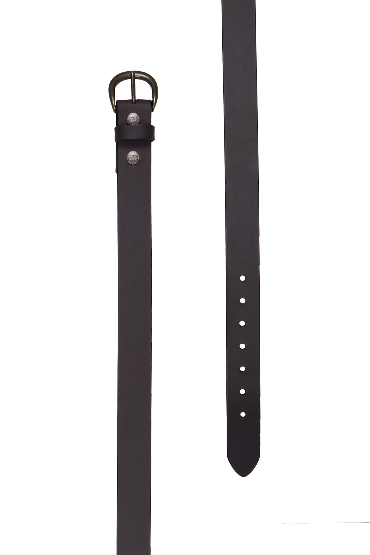 T6S1991BEL Thomas Cook Robson Belt Chocolate