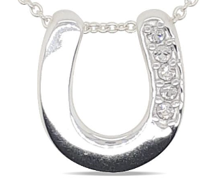 PB0332 Pendant S/S Horse Shoe