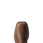 10038331 Ariat Women's Anthem 2.0 Cracked Mahogany/Ombre Blue