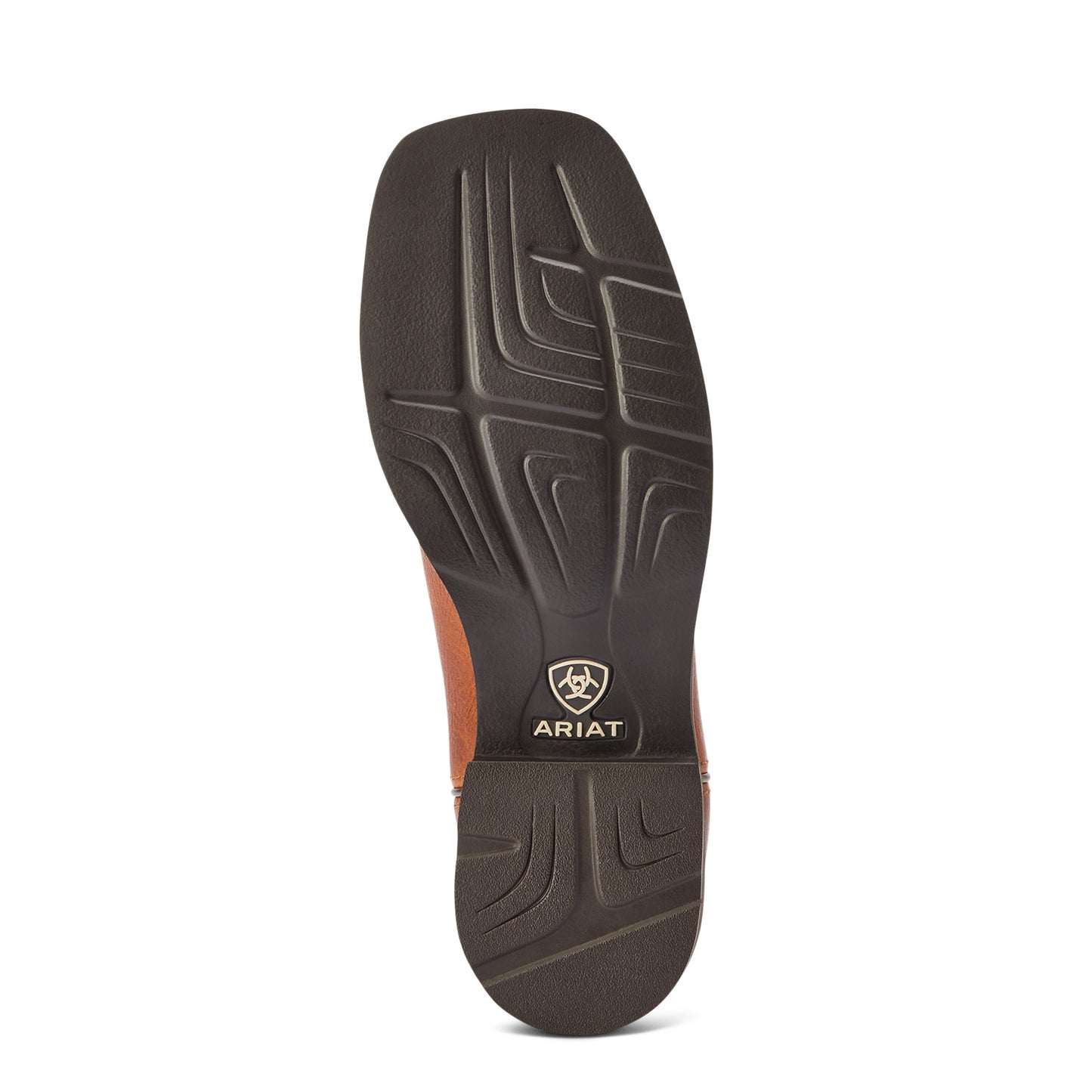 10042420 Ariat Wms Delila Spiced Teal River Boots