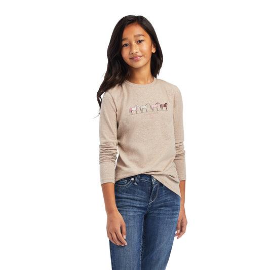 10041251 Ariat Youth Different colour LS Tee
