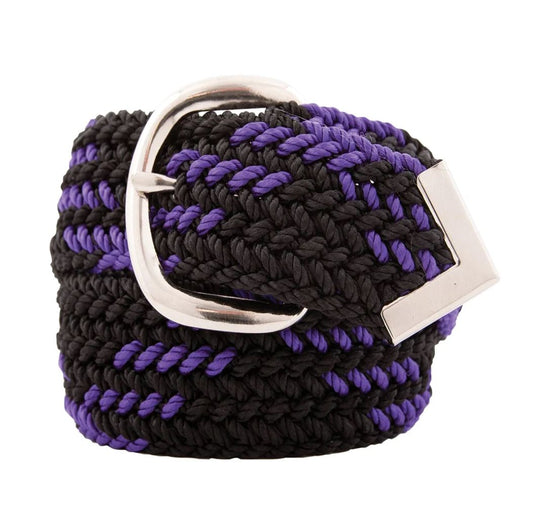 WA151 Nylon Web Belts