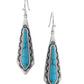 ER5254 Montana Southwest Turquoise Stream Earrings