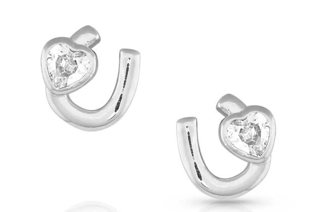 ER5298 Montana Lucking In Love Horseshoe CZ Earrings