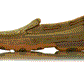 TCWDMS012 Twisted X Women's Diamond Mocs Bomber/Tan